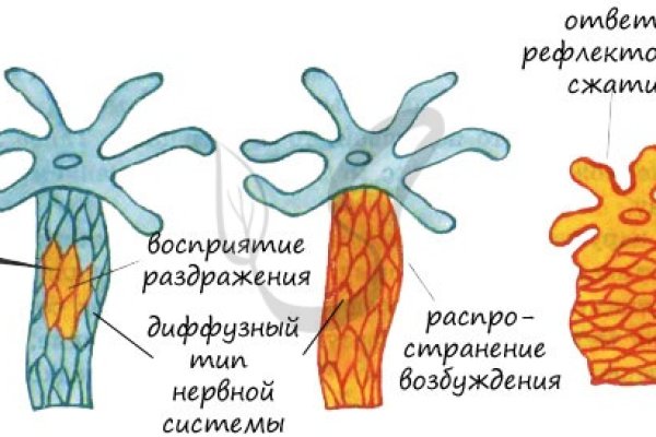 Кракен клирнет ссылка